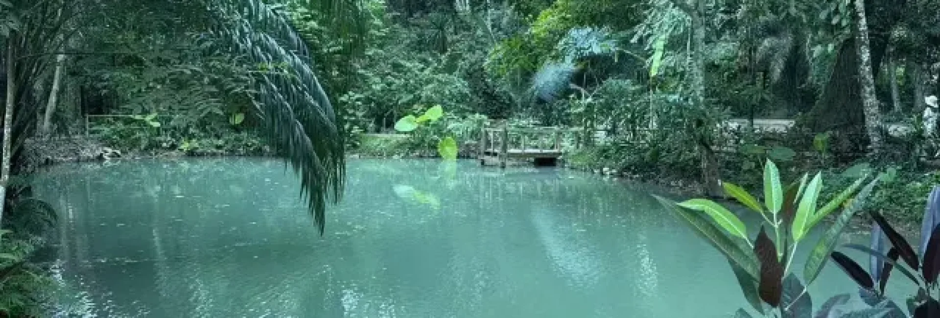 Run of House