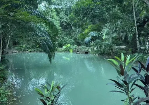 Run of House