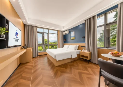 Superior Queen Room